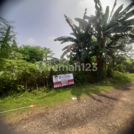 Tanah Murah Lokasi Strategis Tonjong Tajur Halang Bogor 