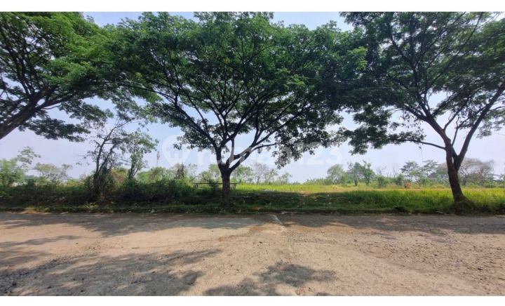 Dijual Tanah Di Grand Sentul City 