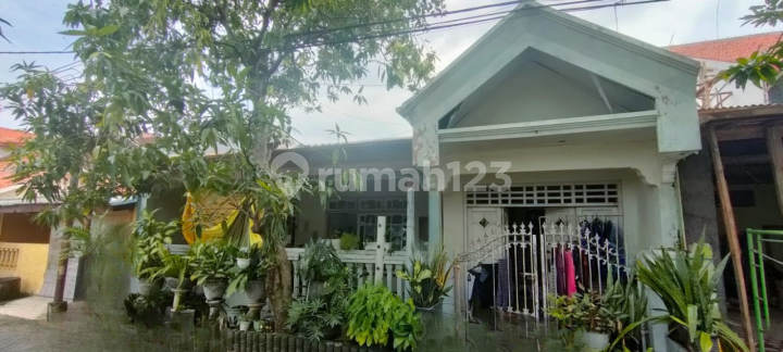 RUMAH PERUM MERPATI KEHUTANAN SIDOARJO S365 ASSET MACET, CASH ONLY