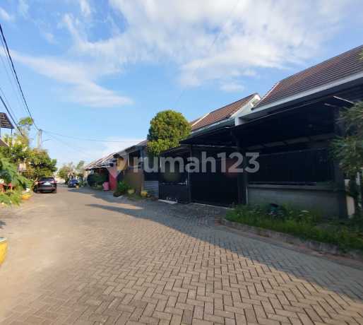 Dijual Rumah Gresik Di Menganti Di Puri Safira Regency Dijual Rumah Gresik Di Menganti Di Puri Safira Regency