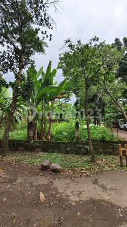 Tanah Kavling Strategis di Ddn Alternatif Cibubur Tanah Kavling Strategis di Ddn Alternatif Cibubur