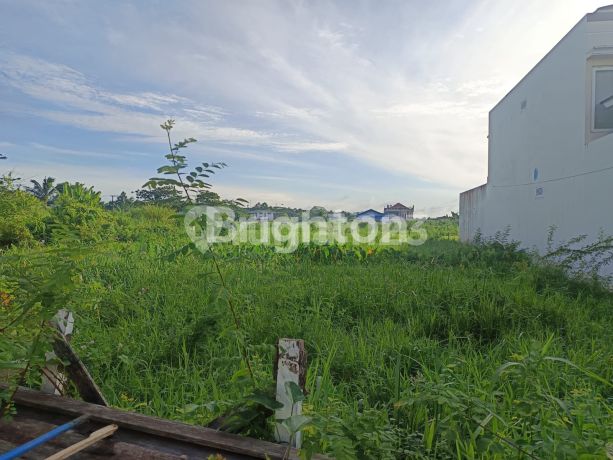 FOR SALE CHEAP LAND ON BELATUK STREET UNMUL SAMARINDA CITY FOR SALE CHEAP LAND ON BELATUK STREET UNMUL SAMARINDA CITY