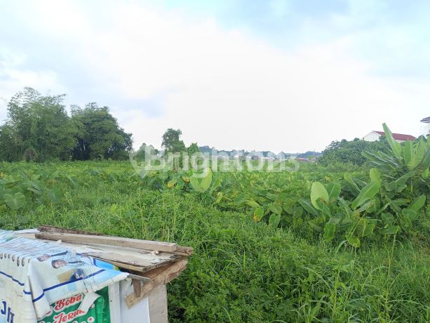 DIJUAL MURAH TANAH SANGAT STRATEGIS TENGAH KOTA JALAN PERJUANGAN UNMUL KOTA SAMARINDA
