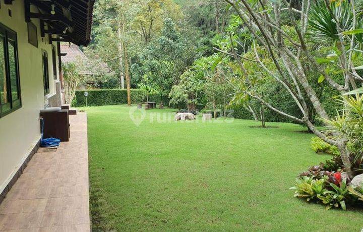 Villa Grand Trawas view hutan pinus, atap masih kayu, terawat