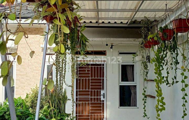 Rumah Bagus Di Komplek Simpay Asih Cijambe Kotamadya Shm