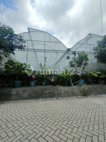 Tanah Kavling Darmo Hill Bagus Strategis Cluster Depan Siap Bangun Selangkah Ke Mayjen Sungkono