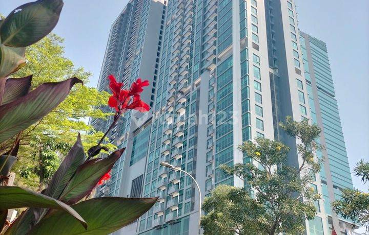 Apartemen Holland Village Jakarta 3 Kamar Tidur Unfurnished Baru