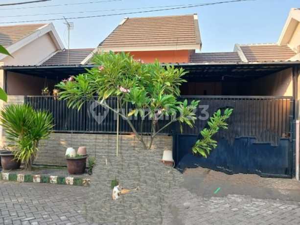 Rumah Siap Huni Taman Pondok Jati Sidoarjo Rumah Siap Huni Taman Pondok Jati Sidoarjo