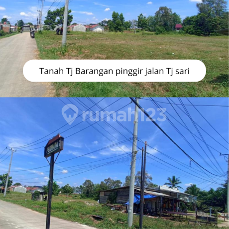 Tanah pinggir jalan area tanjung barangan