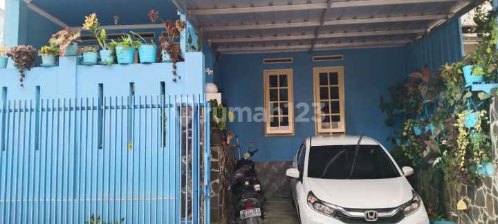 Jual Rumah Mutiara Bogor Raya Siap Huni di Bawah Harga Pasaran Jual Rumah Mutiara Bogor Raya Siap Huni di Bawah Harga Pasaran