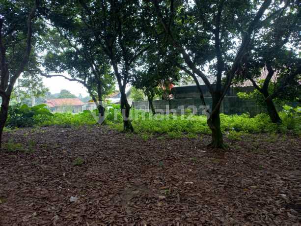 Tanah Di Cimangir Bogor Luas 1320m2 Shm Tanah Di Cimangir Bogor Luas 1320m2 Shm