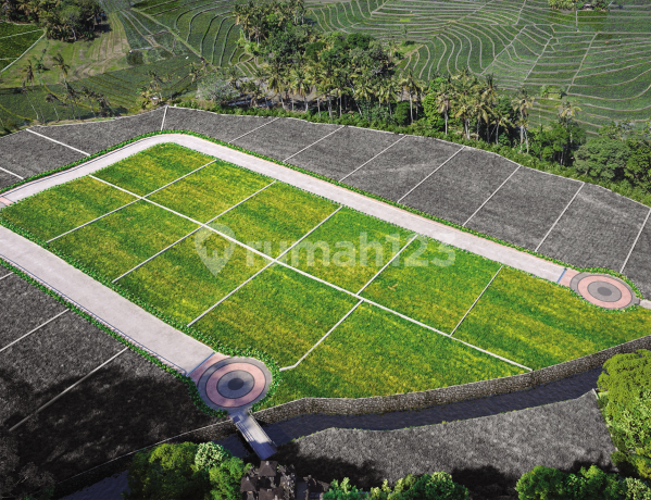 Zone B in Dharma Residence Tanah Lot