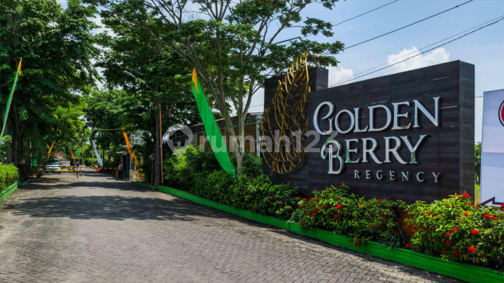 Golden Berry Regency