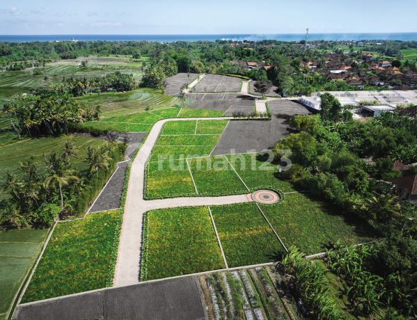 Zone D di Dharma Residence Tanah Lot