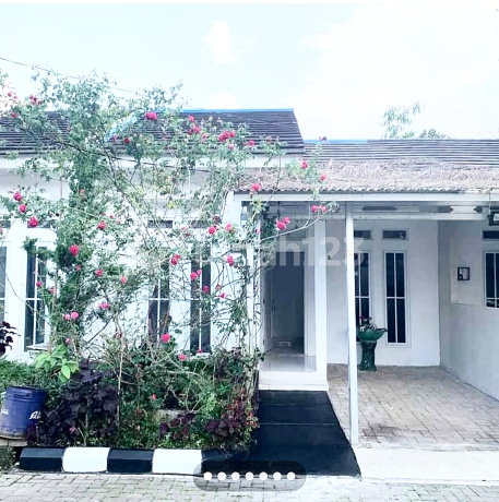 Dijual Cepat Butuh Uang! Bumi Selabintana Sukabumi. Siap Huni Lokasi Nyaman Strategis! Dijual Cepat Butuh Uang! Bumi Selabintana Sukabumi. Siap Huni Lokasi Nyaman Strategis!