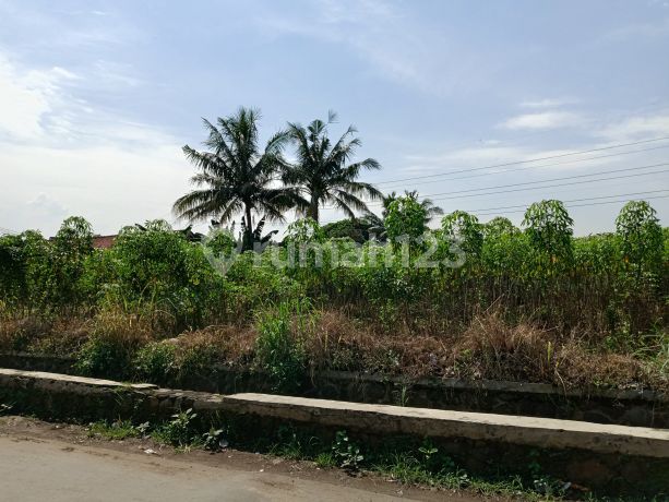 Kavling Murah SHM Cilebut