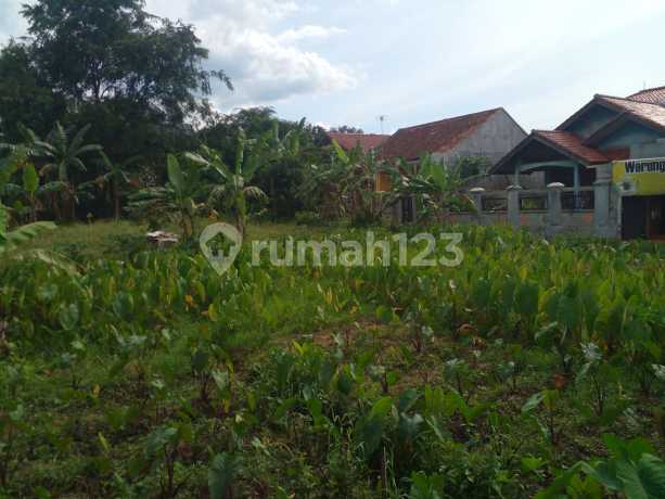 Dijual 8 Kavling SHM Citra Ciomas Laladon