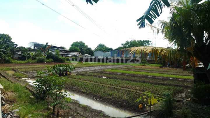 Tanah Murah Dibawah NJOP Penggilingan Jakarta Timurpenggilingan Sentuh Hatitenang Tanah Murah Dibawah NJOP Penggilingan Jakarta Timurpenggilingan Sentuh Hatitenang