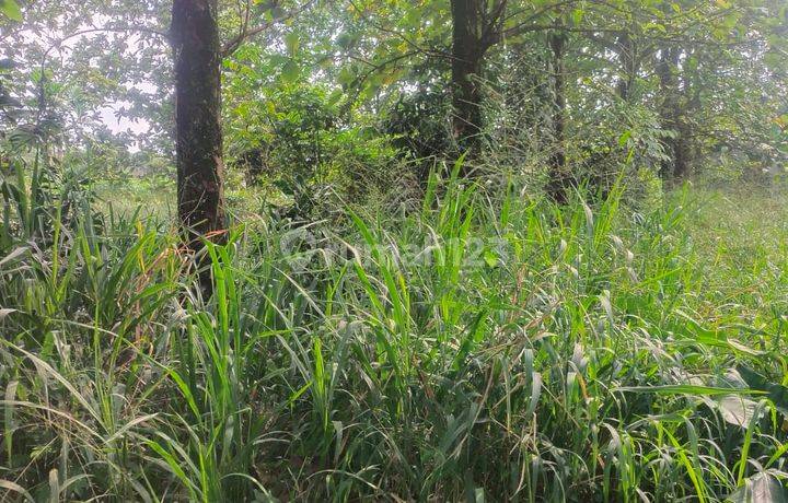 Dijual tanah siap bangun di pura bojong gede
