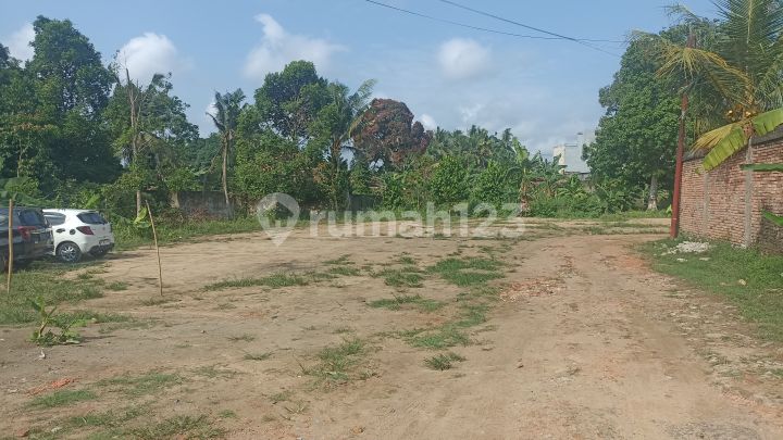 Tanah Kebun Kopi Tanah Kebun Kopi