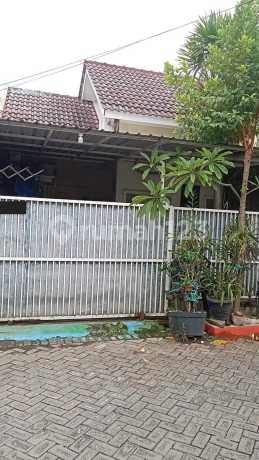Rumah Griya Amerta Regency Medayu Area Rungkut Hanya 700Juta Siap Huni Rumah Griya Amerta Regency Medayu Area Rungkut Hanya 700Juta Siap Huni