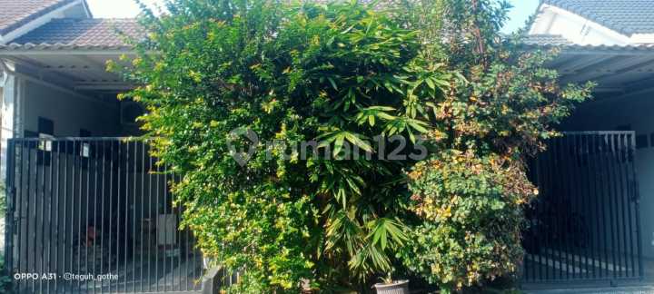 Rumah Daerah Gedangan Sidoarjo.dekat Bandara dan Akses Tol Rumah Daerah Gedangan Sidoarjo.dekat Bandara dan Akses Tol