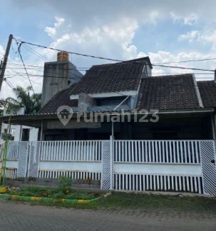 Rumah Luas Dekat Aloha Waru Sidoarjo, SHM dan Siap Huni Rumah Luas Dekat Aloha Waru Sidoarjo, SHM dan Siap Huni