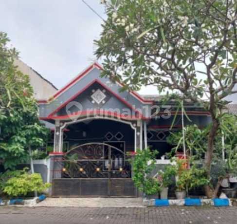 Jual Via Lelang Sangat Murah Rumah Hook Di Perum Merpati Kehutanan Sedati Juanda Jual Via Lelang Sangat Murah Rumah Hook Di Perum Merpati Kehutanan Sedati Juanda