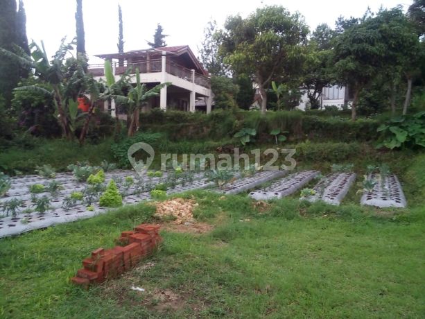 Dijual Tanah Kavling di Villa Istana Bunga, Lembang Bandung Persegi Depan Dkt Gerbang Am