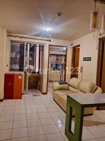 Apartment Palm Mansion (2 BR)