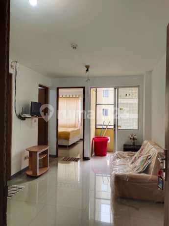 Apartment Palm Mansion (2 BR)