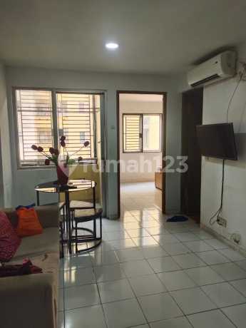 Apartment Palm Mansion (2 BR)