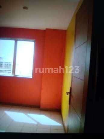 Apartment Palm Mansion (2 BR)