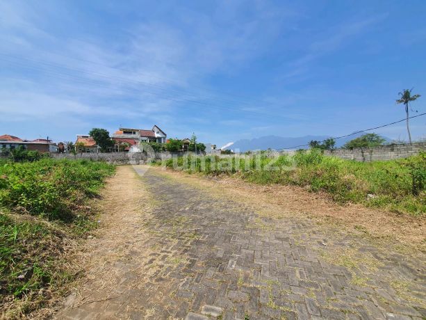 Tanah Murah Di Tegal Gondo Cocok Untuk Kos Tanah Murah Di Tegal Gondo Cocok Untuk Kos