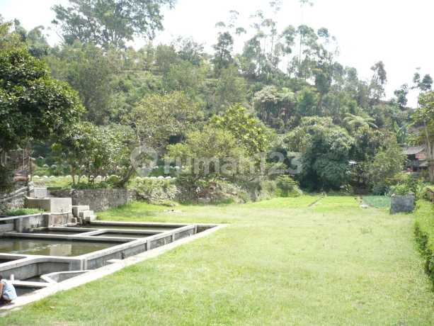 Dijual Tanah & Bangunan Di Lokasi Wisata Ciwidey Bandung