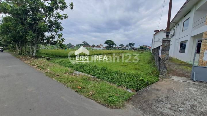 Tanah di Jogja Dekat Kampus Unisa Tanah di Jogja Dekat Kampus Unisa