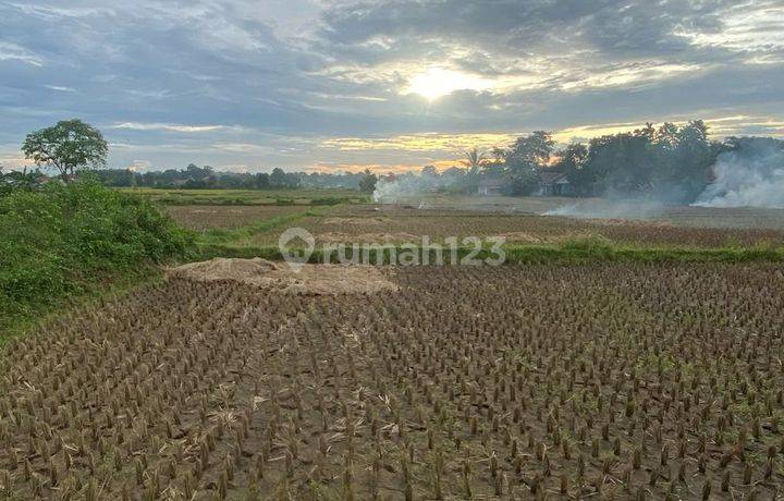 Tanah Padat Dekat Kana Park, Dekat Gudang Blessindo Dan Lg, Babat Legok Tangerang