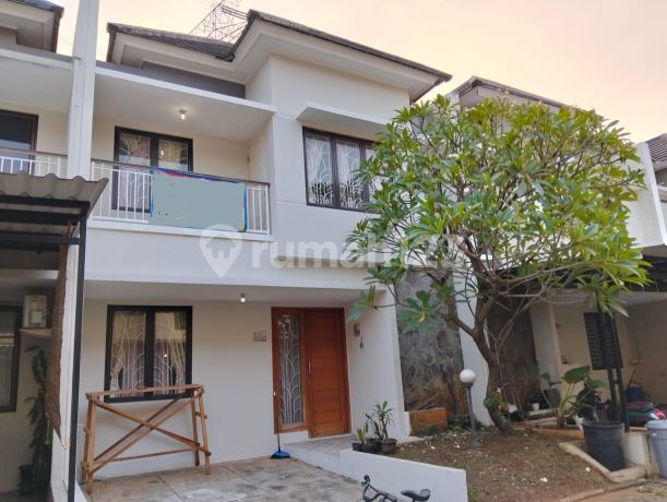 Dijual Bintaro Terrace Garden Area Sektor 7 Bintaro Dijual Bintaro Terrace Garden Area Sektor 7 Bintaro