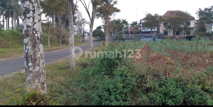 TANAH MURAH DI VILLA GUNUNG BURING MALANG (LPH) TANAH MURAH DI VILLA GUNUNG BURING MALANG (LPH)
