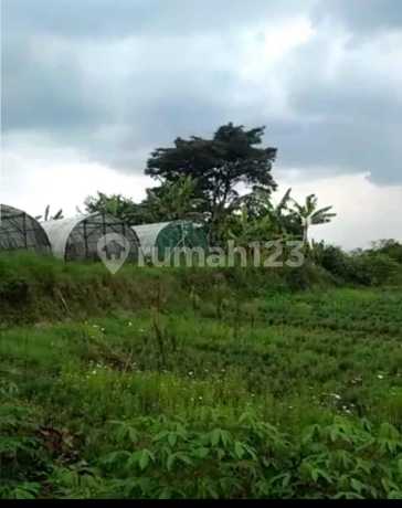 Land suitable for Tourism Business in the Eldorado Area, Lembang, Bandung.