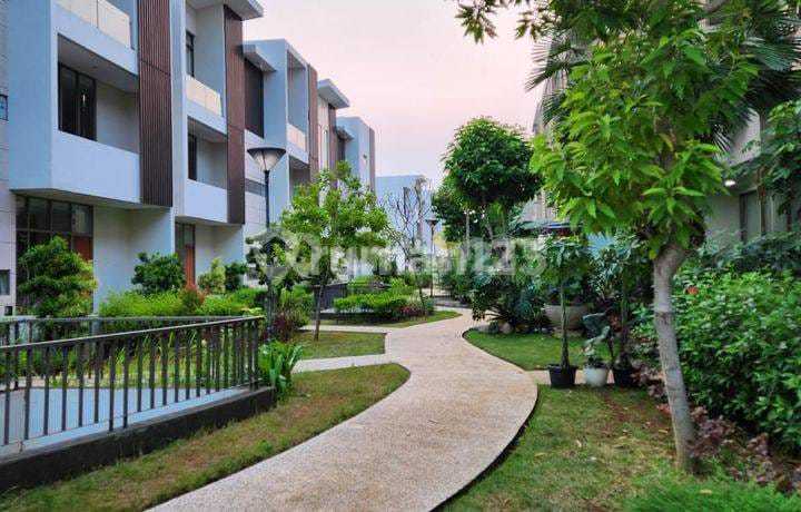 Dijual Rumah Jaya Ancol Seafront Uku 8x18 Cluster Mewah 3 Lantai+Basement Harga Menarik Dijual Rumah Jaya Ancol Seafront Uku 8x18 Cluster Mewah 3 Lantai+Basement Harga Menarik