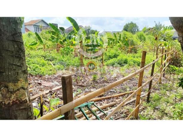 Kavling di Liman Mukti Pedurungan Semarang Kavling di Liman Mukti Pedurungan Semarang
