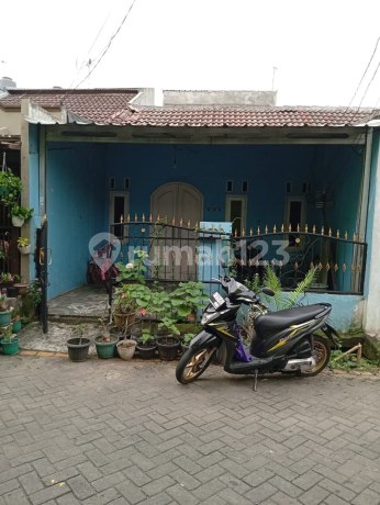Rumah Murah Bebas Banjir di Bekasi (Ny) Rumah Murah Bebas Banjir di Bekasi (Ny)