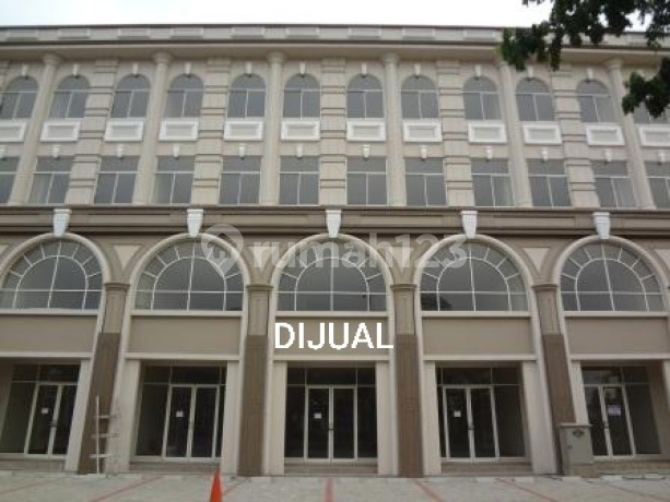 Lowest Price Twin Shophouses for Sale in Green Lake City, Wide Streets.