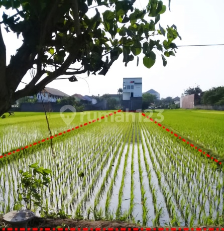 Jual Cepat Tanah Seberang UMY 834m2 SHM Gatak, Taman Tirto, Bantul, Yogyakarta Jual Cepat Tanah Seberang UMY 834m2 SHM Gatak, Taman Tirto, Bantul, Yogyakarta