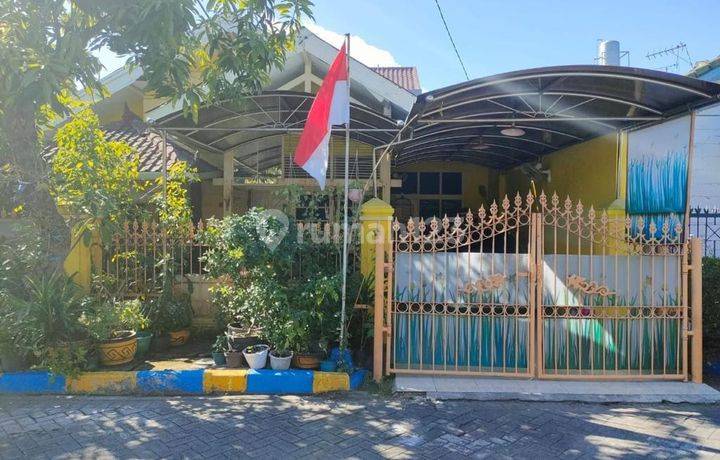 Rungkut mapan 1lt rumah lama siap huni