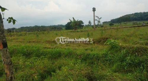 Tanah industri cocok bangun Pabrik mantup lamongan
