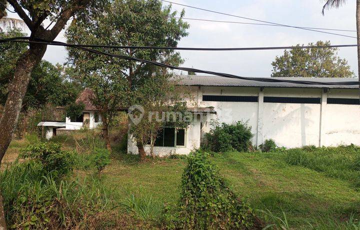 Tanah murah raya purwodadi bonus bangunan