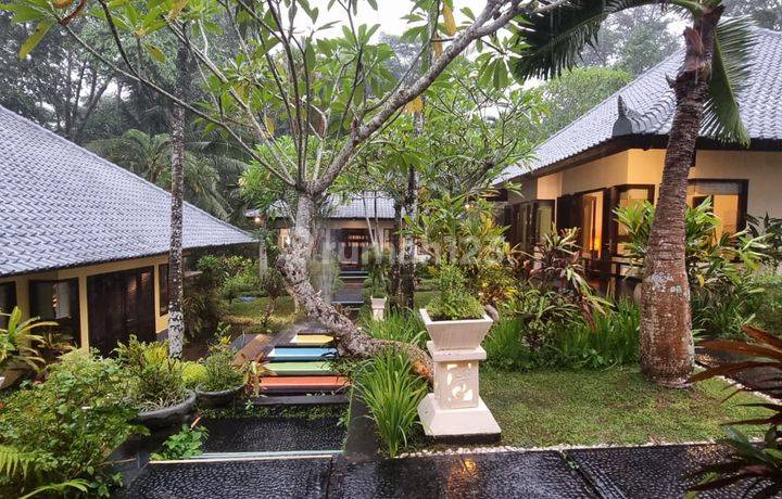 Villa Mewah 4 Kamar Tidur Di Sungai, Tabanan