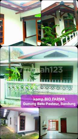 Affordable House Needs Renovation Behind Gateway Pasteur Apartment Affordable House Needs Renovation Behind Gateway Pasteur Apartment